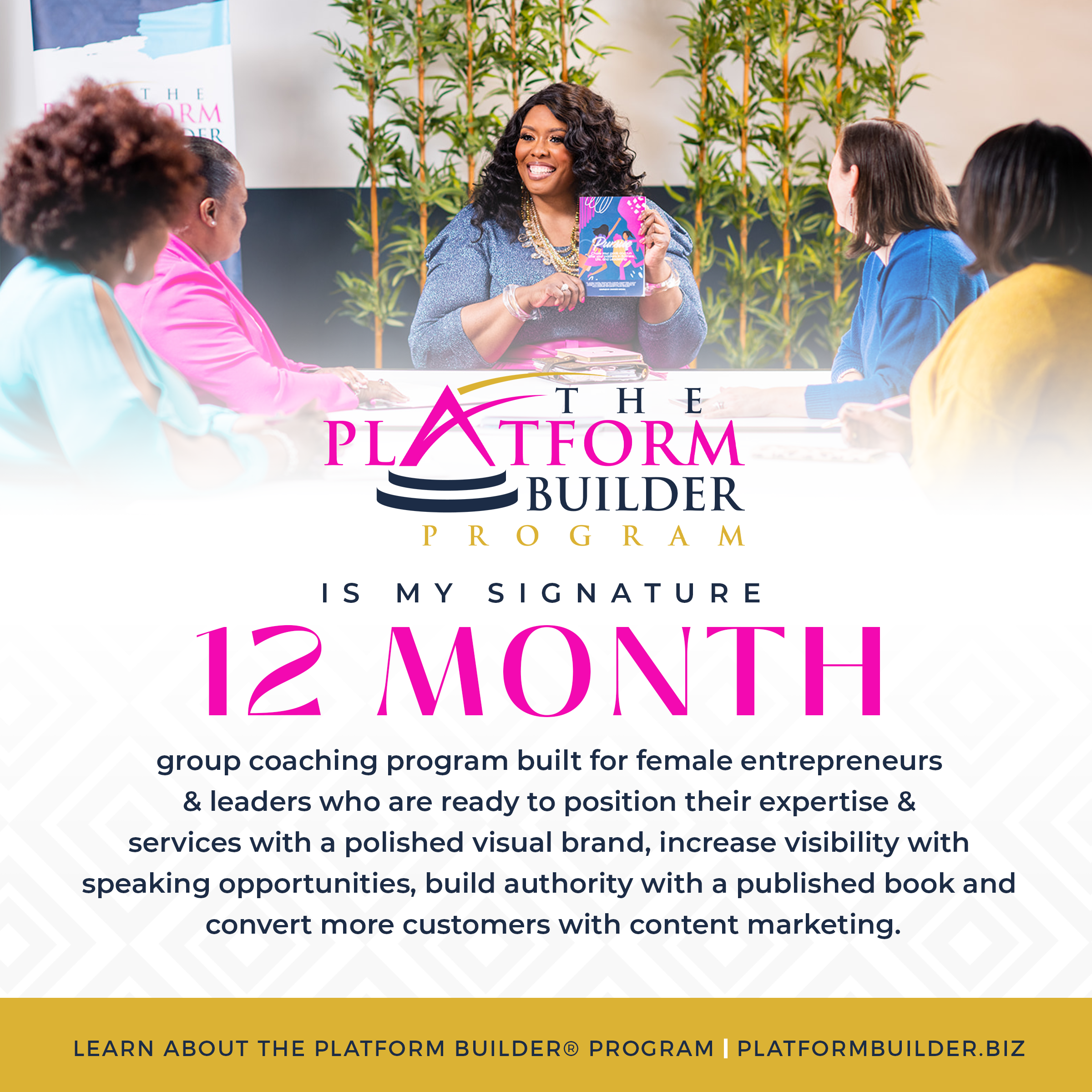 The Platform Builder Program